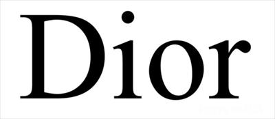 پاورپوینت برند دیور (Dior)