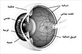 پاورپوینت فیزیک چشم و بینایی (فیزیک پزشکی چشم)