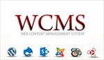 پاورپوینت-سیستم-های-مدیریت-محتوای-وب-(wcms)
