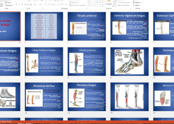 دانلود فایل پاورپوینت آموزشی و قابل ویرایش عضلات مچ پا و پا (muscles of the ankle & foot)